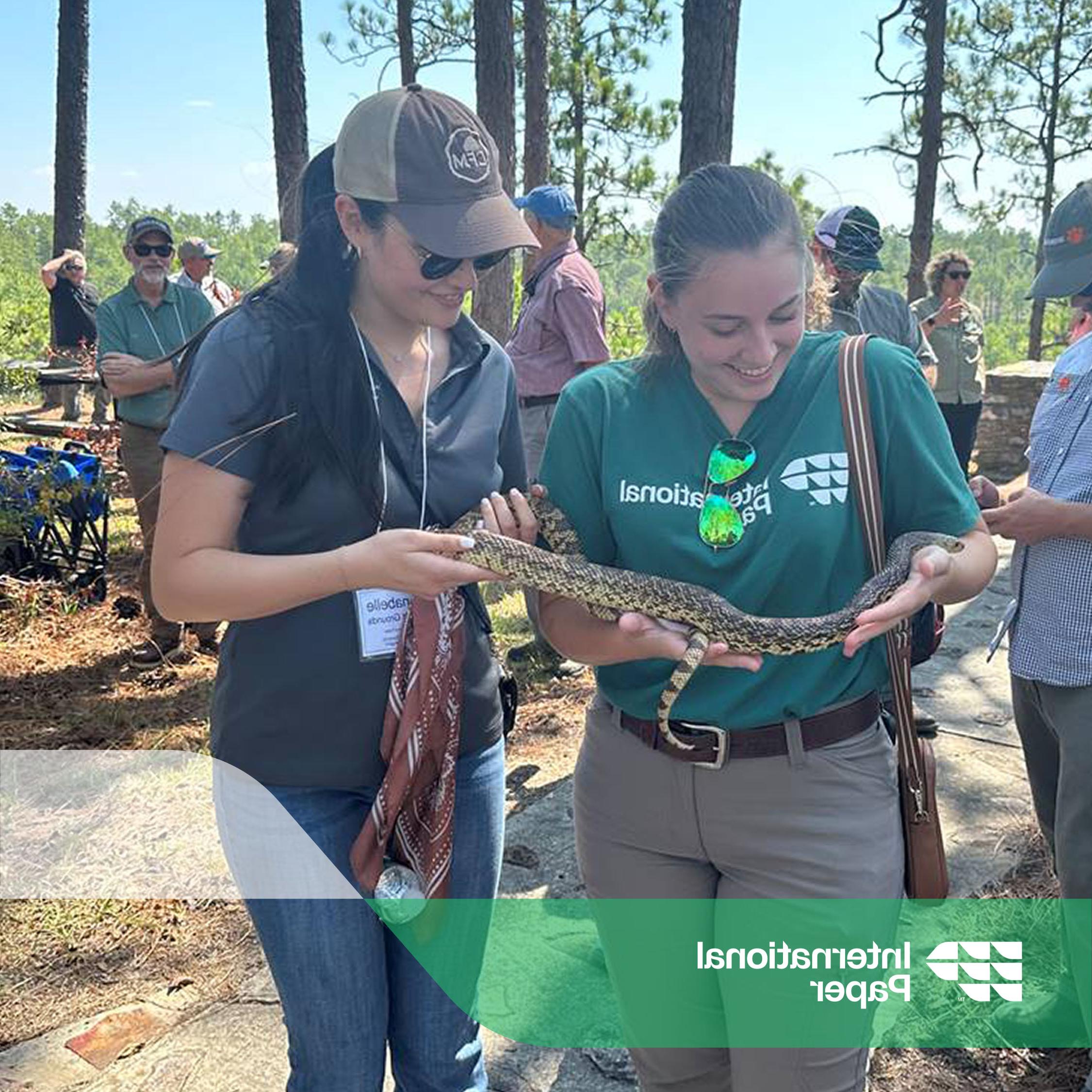 Two IP employees hold a Louisiana pine snake